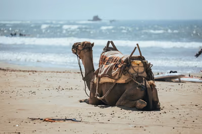 Agadir