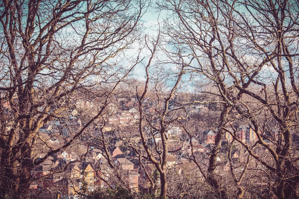 Bristol