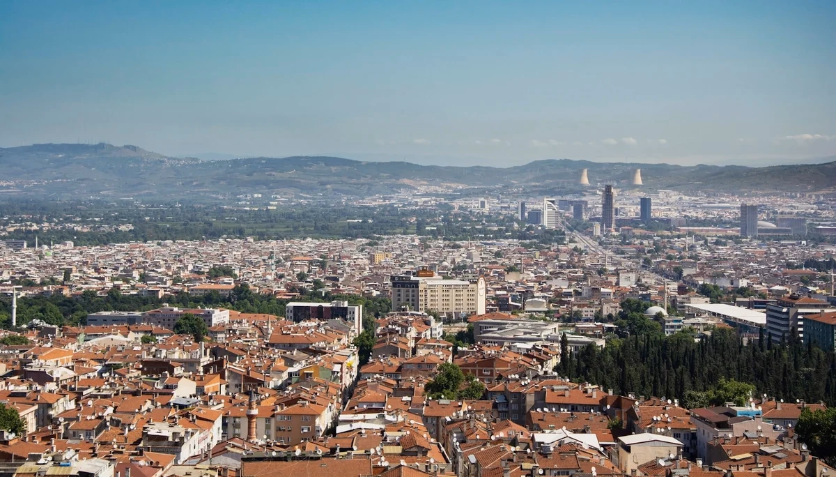 Bursa