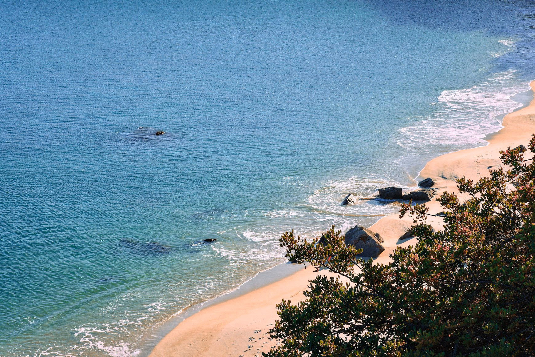 Comporta