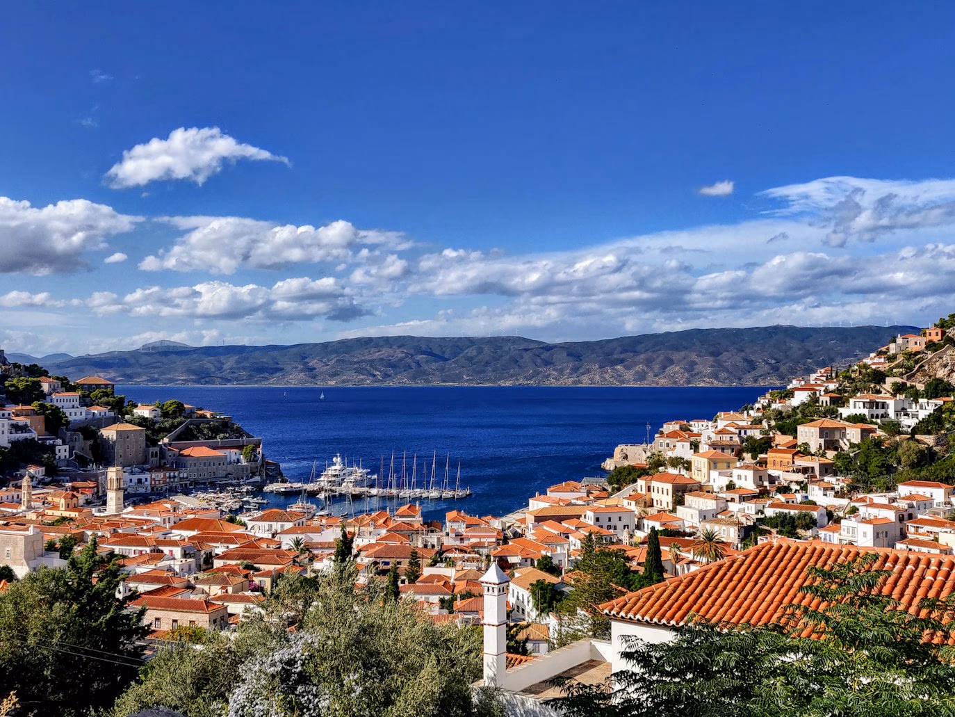 Hydra