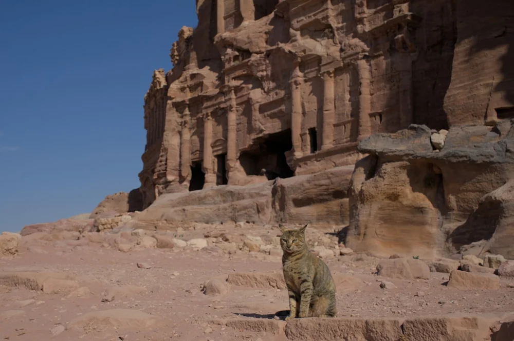 Petra