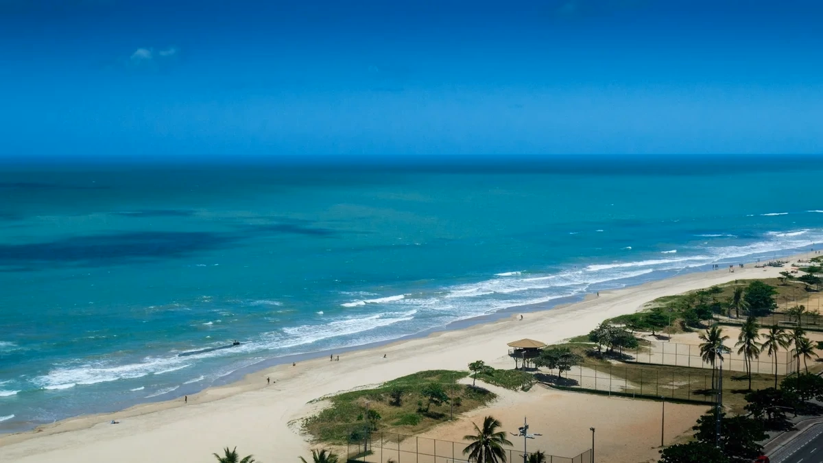 Recife hero