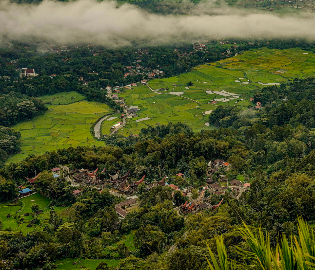 Toraja