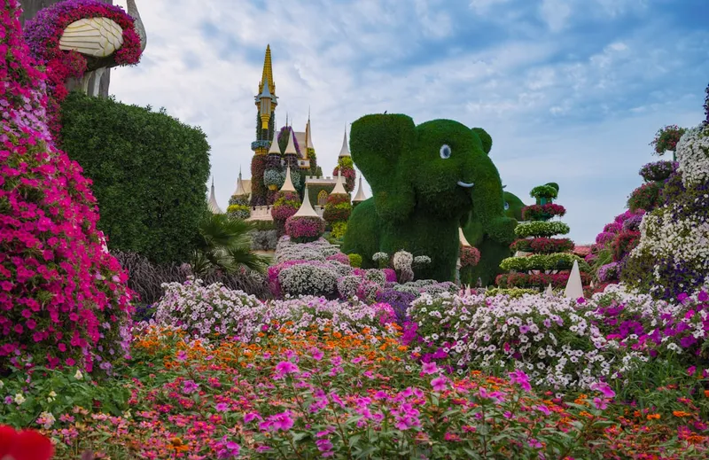 Dubai Miracle Garden med 150 miljoner blommor i hjärtformade och planflygformade arrangemang