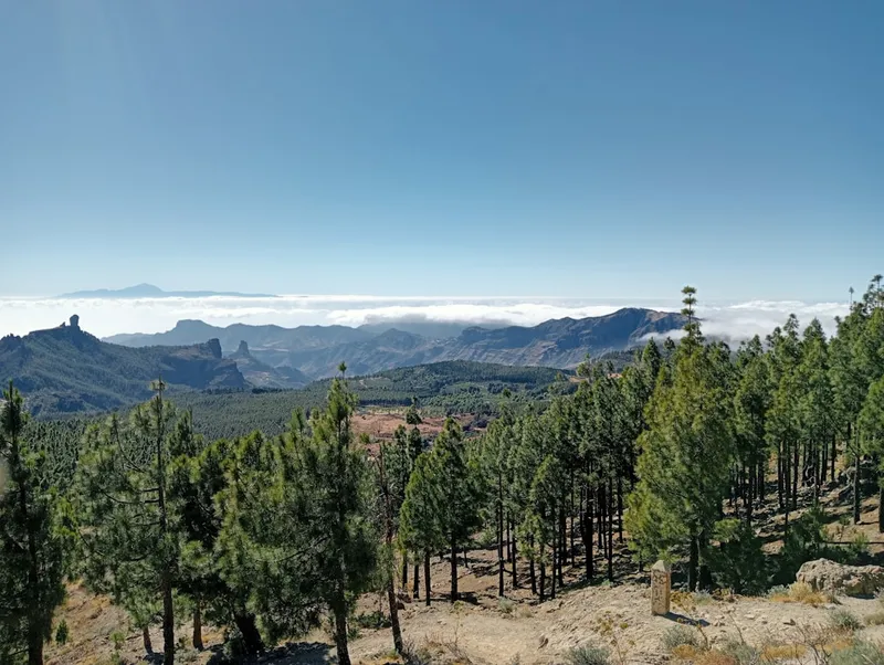 Pico de las Nieves