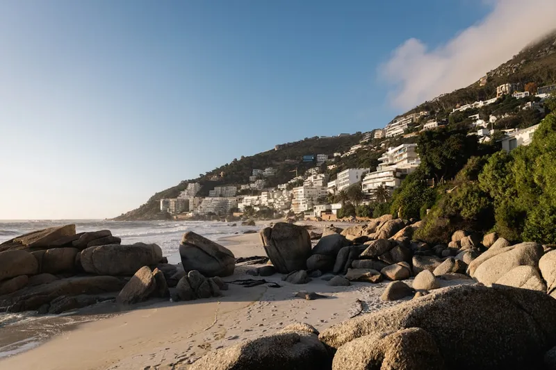 Boulders Beach pingviner