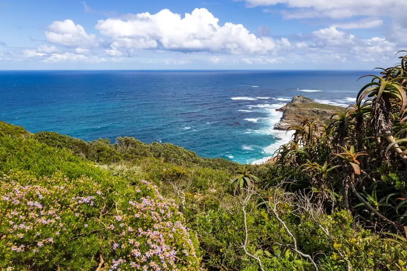 Cape of Good Hope