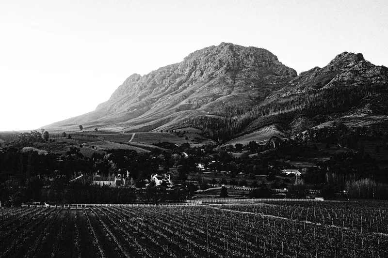 Cape Winelands / Stellenbosch