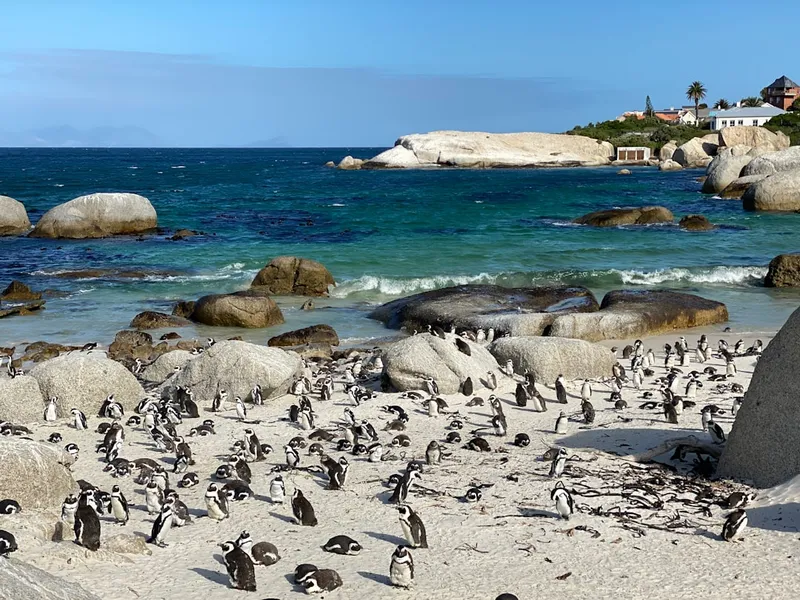 Boulders Beach
