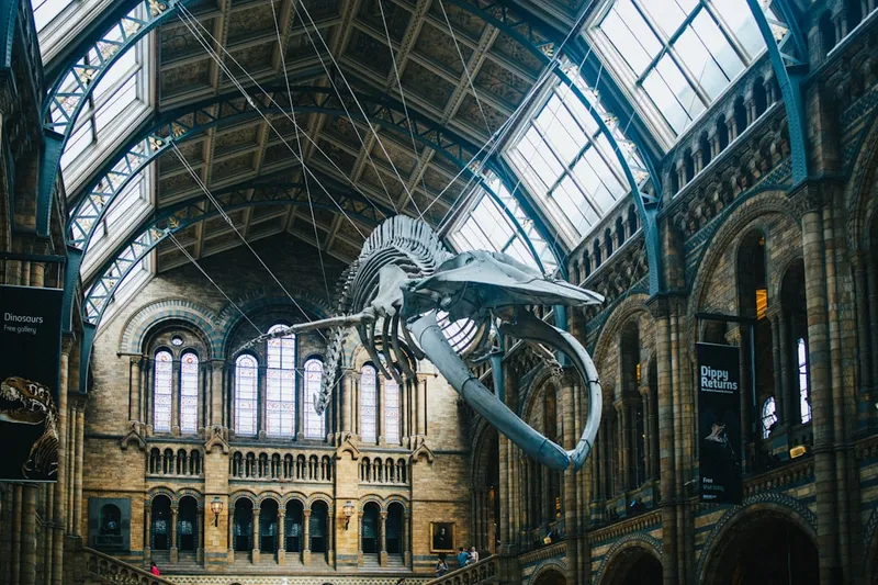 Natural History Museum