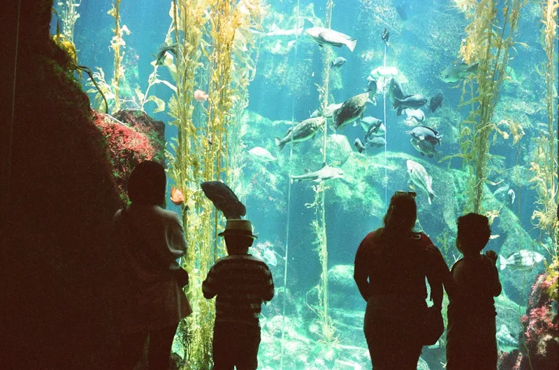 Aquarium of the Pacific
