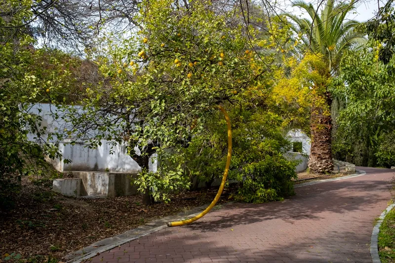 La Concepción botanisk trädgård