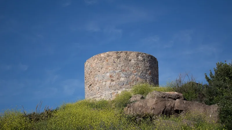 Castillo de Gibralfaro