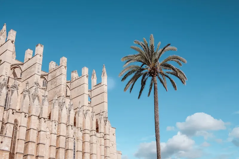 Plaça Major i Palma med gula husfasader och uteserveringar