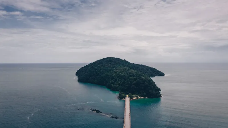 Coral Island