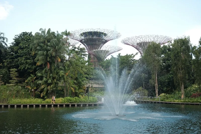 Singapore Botanic Gardens med tropiska träd och Swan Lake