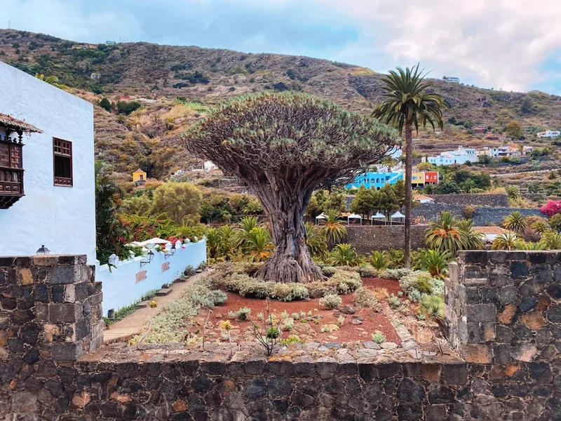 Garachico
