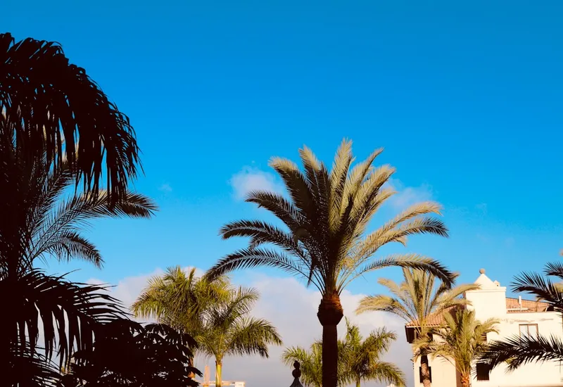 Siam Park