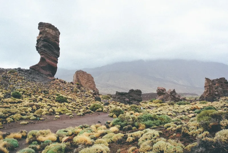 Teide nationalpark