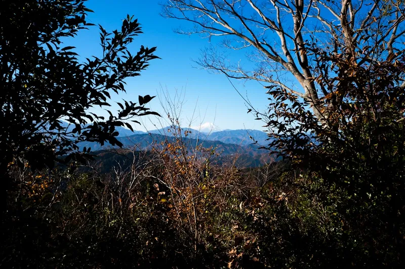 Mount Takao