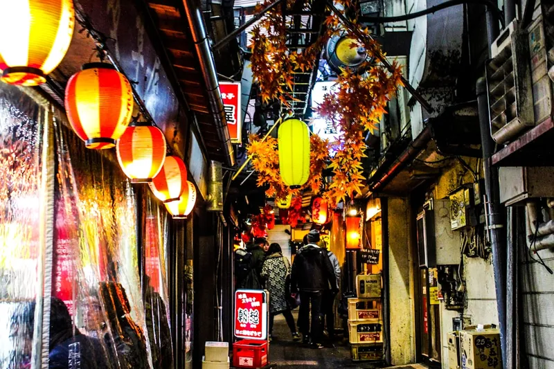 Omoide Yokocho (Shinjuku)
