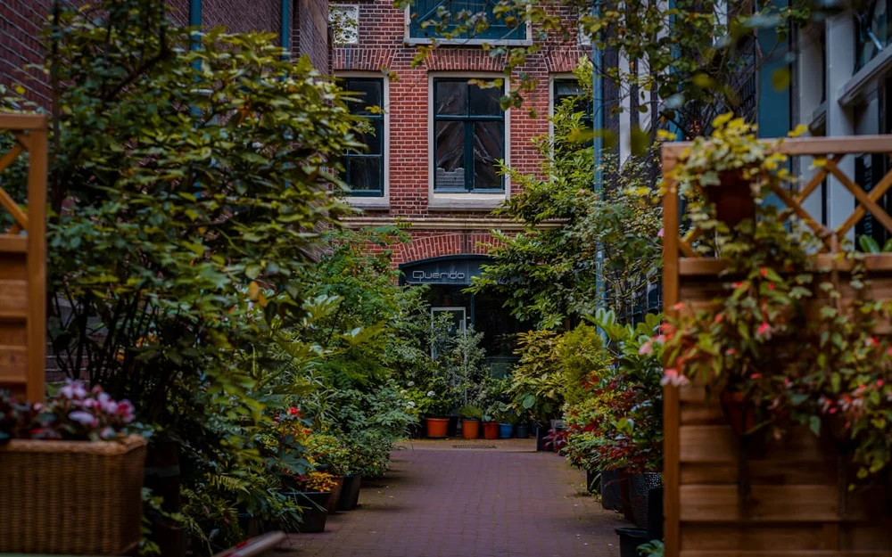 Begijnhof Amsterdam innergård