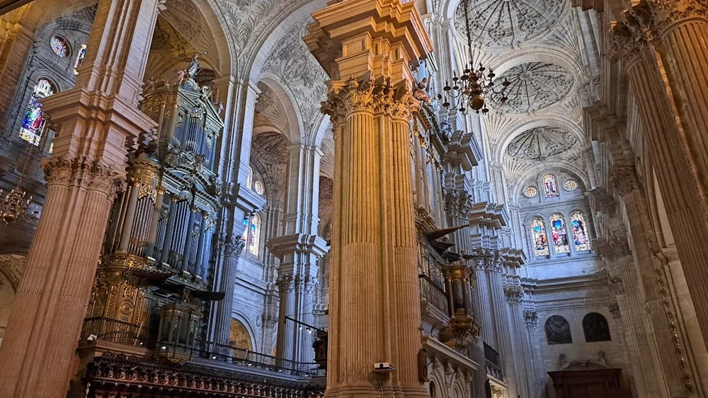 Catedral de Málaga renässansfasad med palmbild