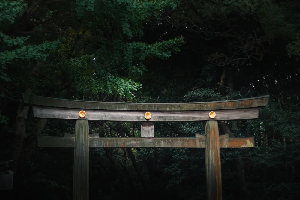 Meiji Shrine Tokyo torii-port skog
