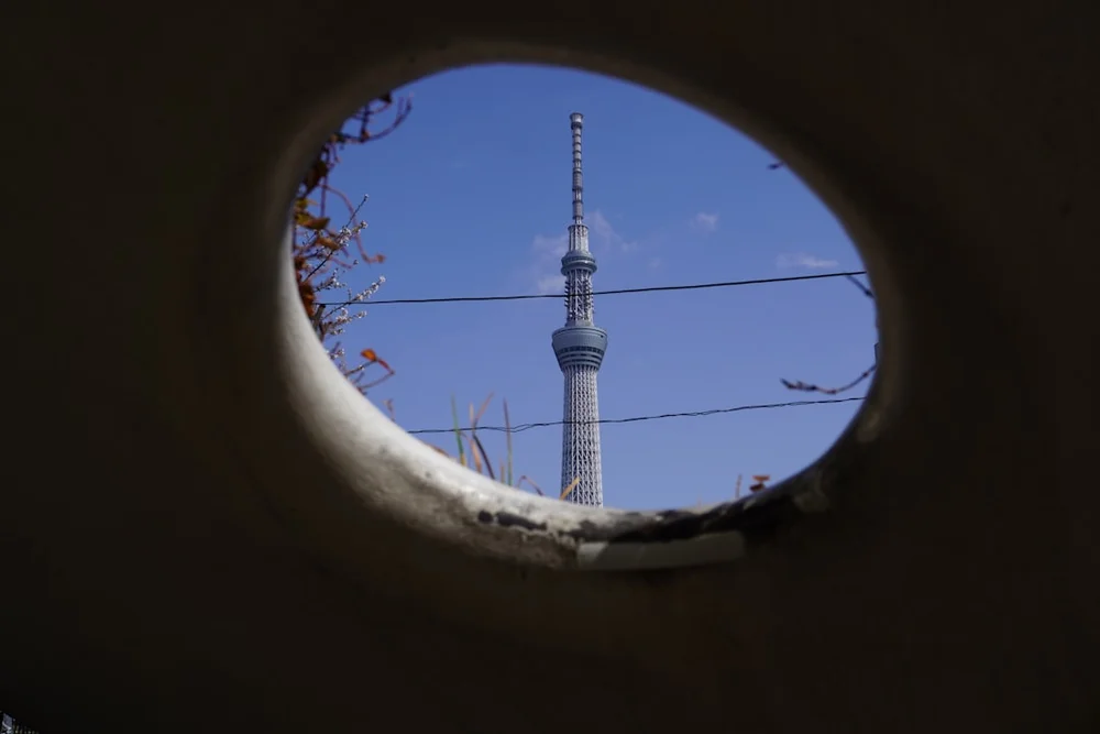 Tokyo Skytree observation tower skyline